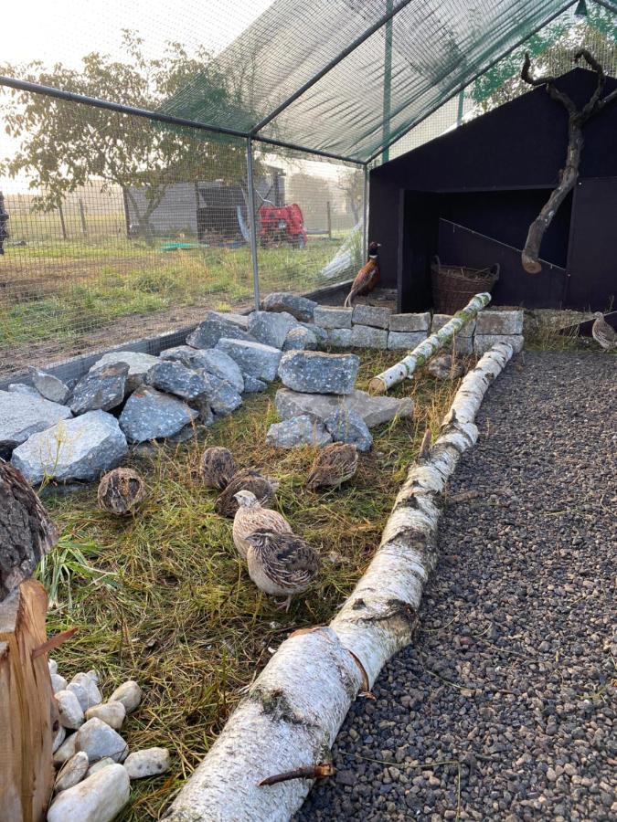 Ferienwohnung Auf Dem Bauernhof Cottbus Bagian luar foto